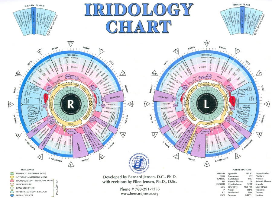 Iridology Chart I